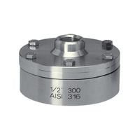 MGS9/6 Diaphragm Seal, with Flanged Connection